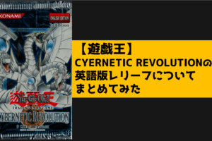 CYERNETIC REVOLUTION